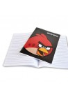 Angry Birds 10x10 ruit schrift A4