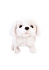 LOOP EN BLAF HONDJE  WIT