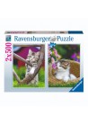 Ravensburger puzzel poezen 2 x 500 stukjes