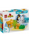 LEGO 10442 DUPLO Families van wilde dieren: pinguïns en leeuwen