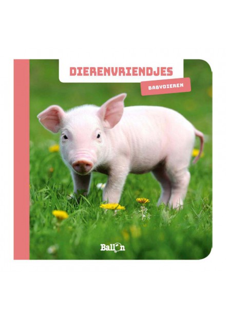 Dierenvriendjes - Fotokijkboek Babydieren ballon