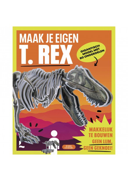 Boek Roald Dahl Ieorg Idur