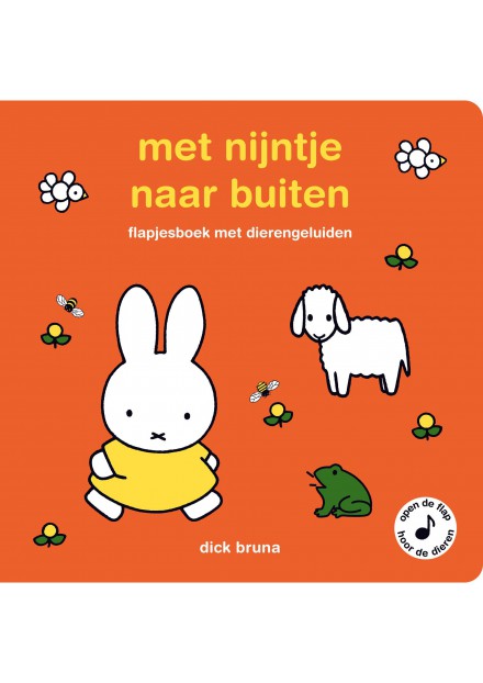 Boek Roald Dahl Ieorg Idur