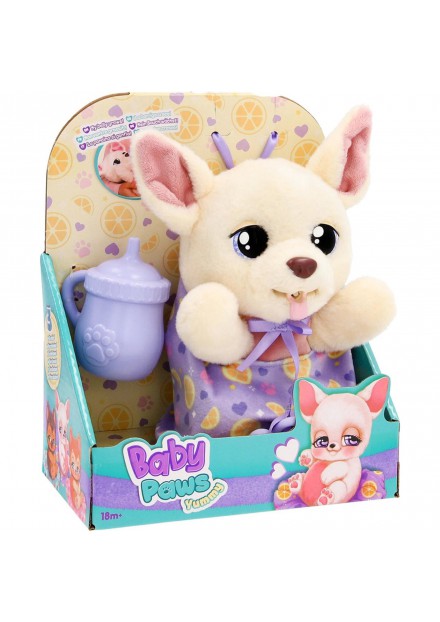 Baby paws yummy chihuahua Baby paws yummy chihuahua