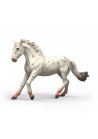 Schleich 14917 Knabstrupper Merrie