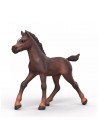 Schleich 81479 Collectible Foal Ravi