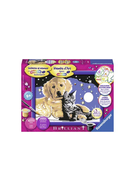 Ravensburger Schilderen Op Nummer Schitterende Sterrenhemel