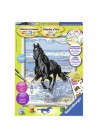 Ravensburger Schilderen Op Nummer paard in de branding