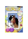Ravensburger Schilderen Op Nummer paardenblik