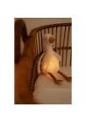 Little Dutch knuffelgans licht & geluid