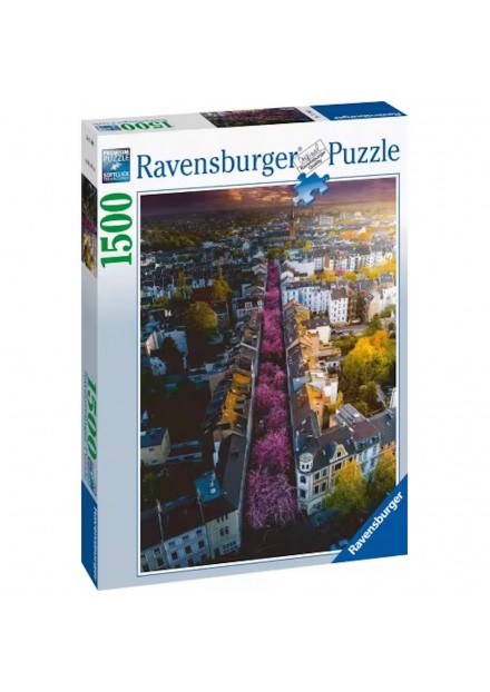 Ravensburger  