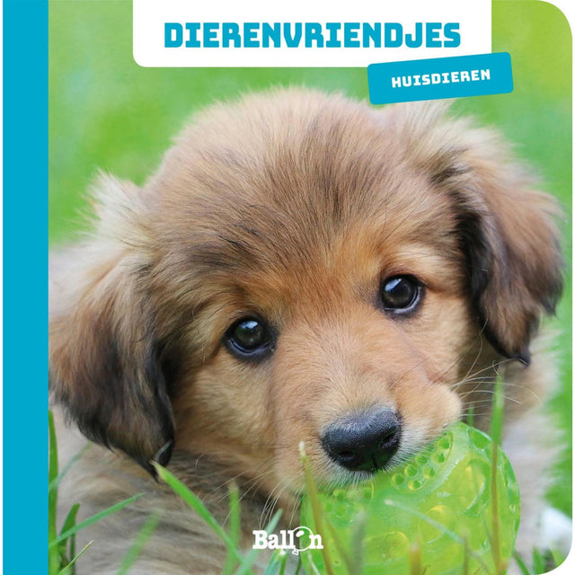 Dierenvriendjes Kartonboekje huisdieren ballon