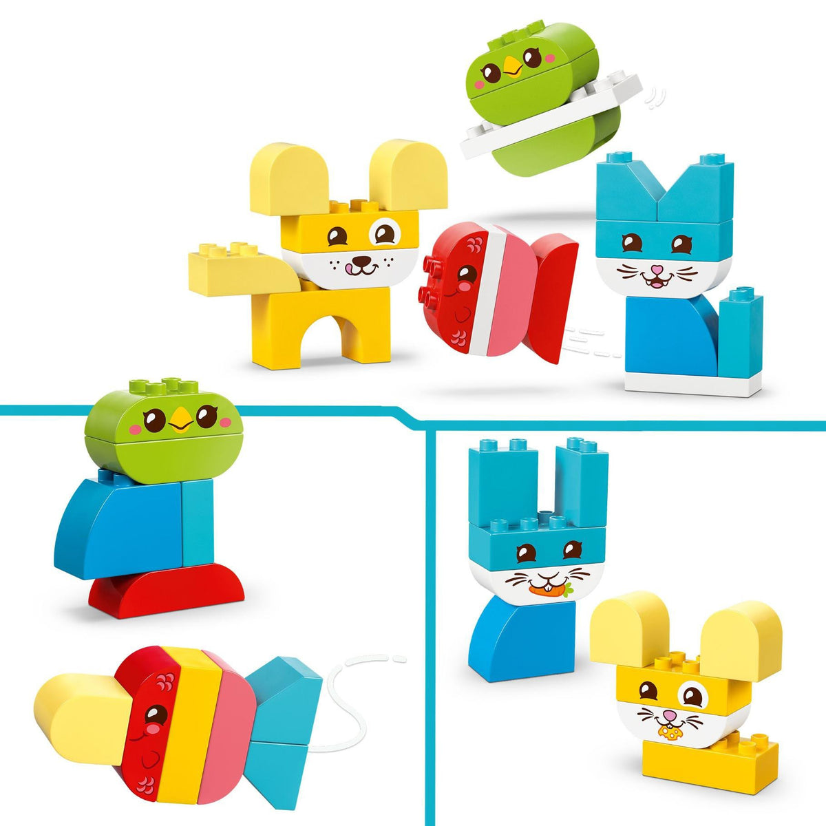 LEGO 10477 Duplo Creatieve Huisdieren 3 In 1 2