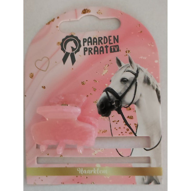 PAARDENPRAATTV  HAARKLEM