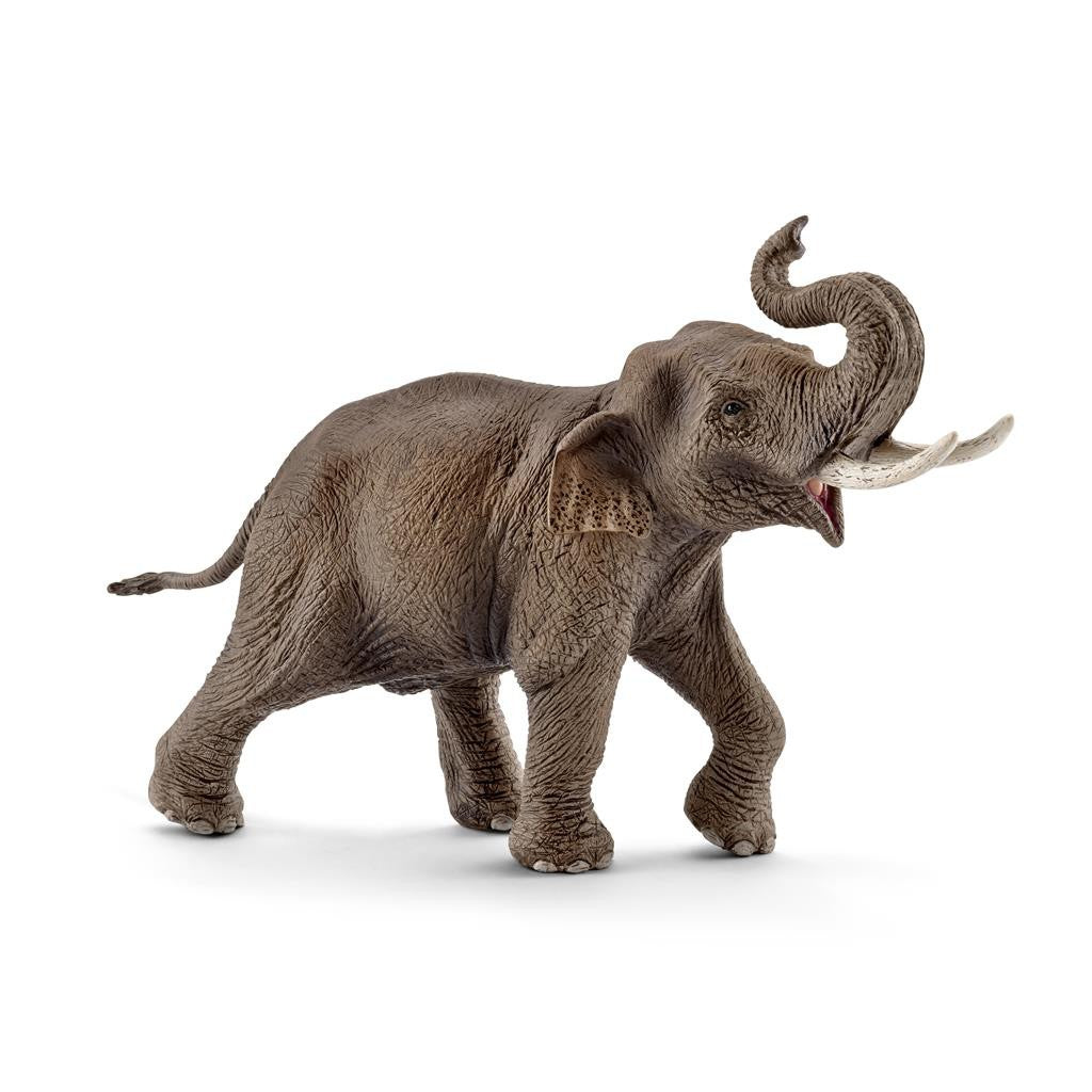 SCHLEICH  14754  AZIATISCHE OLIFANT MANNETJE