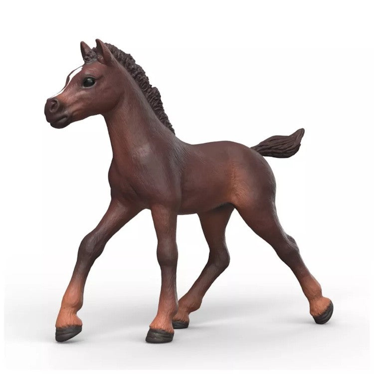 Schleich 81479 Collectible Foal Ravi 2